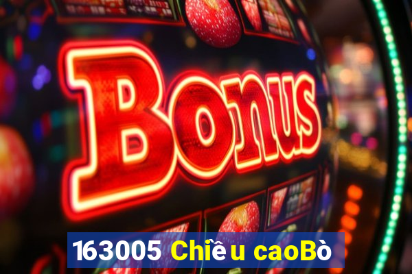 163005 Chiều caoBò