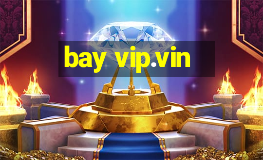 bay vip.vin