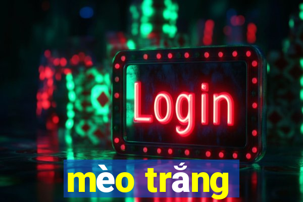 mèo trắng