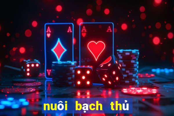 nuôi bạch thủ lô khung 2 ngày