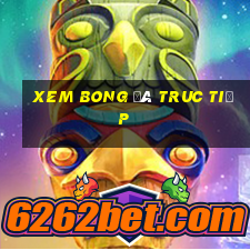 xem bong đá truc tiếp