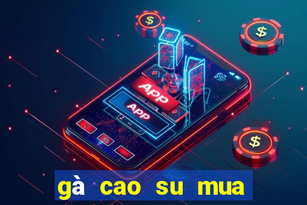 gà cao su mua ở đâu