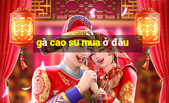 gà cao su mua ở đâu