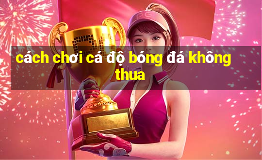 cách chơi cá độ bóng đá không thua