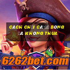 cách chơi cá độ bóng đá không thua