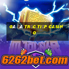 gà đá trực tiếp casino