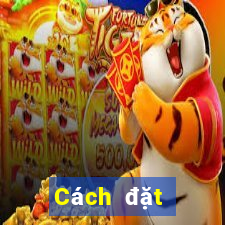 Cách đặt cược XSBTH ngày 11