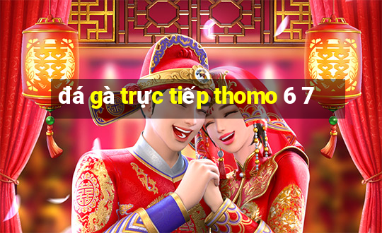 đá gà trực tiếp thomo 6 7