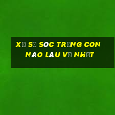 xổ số sóc trăng con nào lâu về nhất