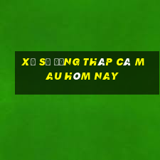 xổ số đồng tháp cà mau hôm nay