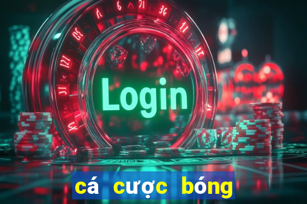 cá cược bóng đá euro