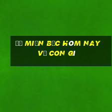 đề miền bắc hôm nay về con gì