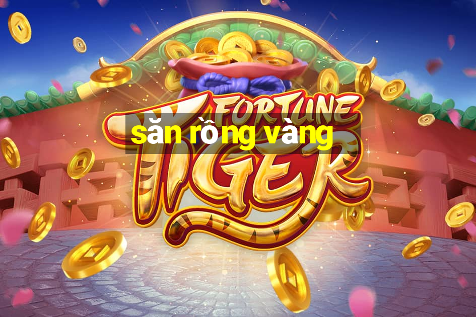 săn rồng vàng