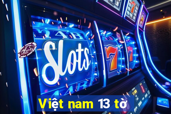 Việt nam 13 tờ