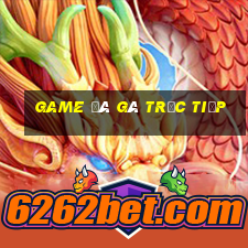 game đá gà trực tiếp