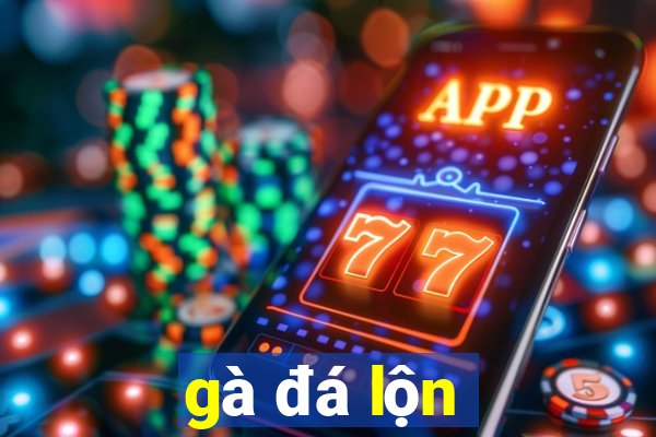 gà đá lộn