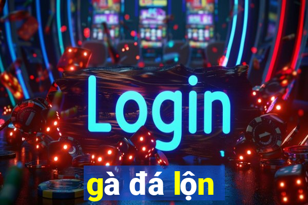 gà đá lộn