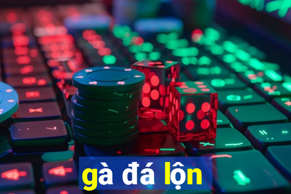 gà đá lộn