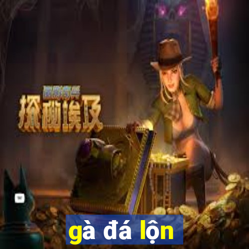 gà đá lộn