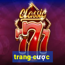 trang cược