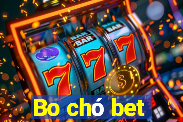 Bo chó bet