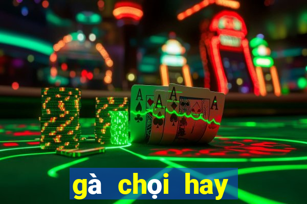 gà chọi hay nhất miền bắc