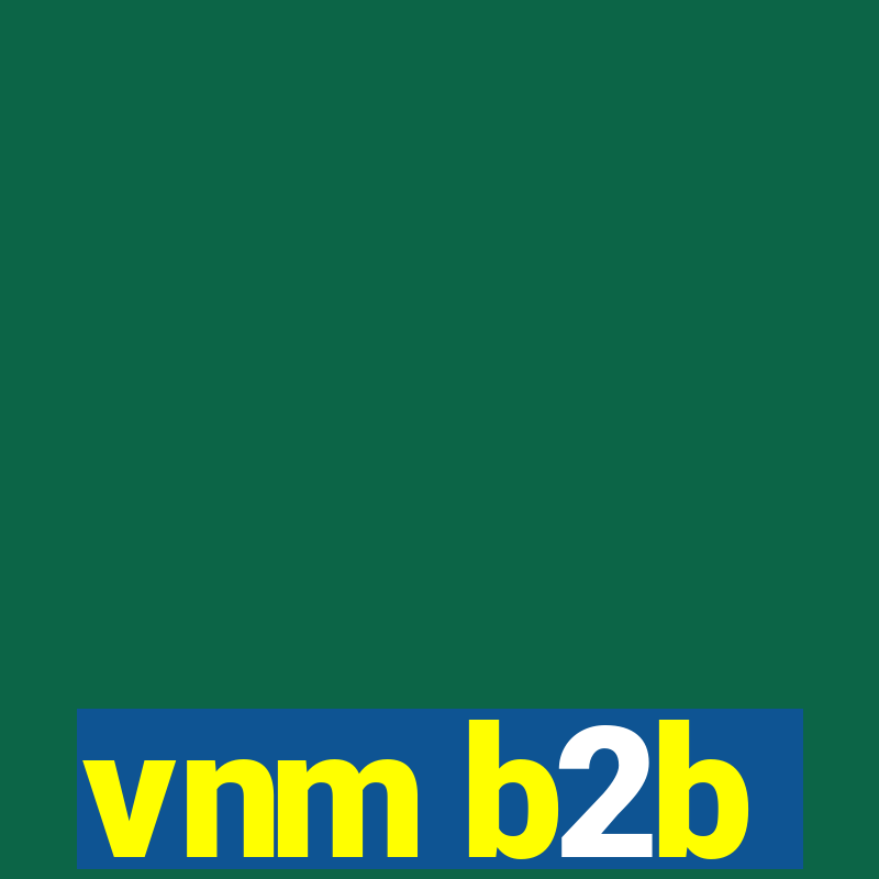 vnm b2b