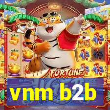 vnm b2b