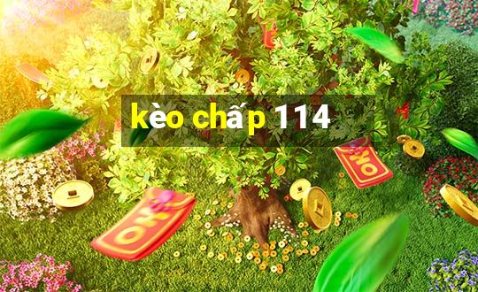 kèo chấp 1 1 4