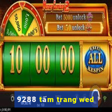 9288 tấm trang wed