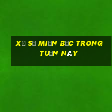 xổ số miền bắc trong tuần này