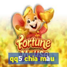 qq5 chia màu