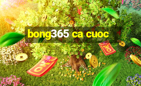 bong365 ca cuoc