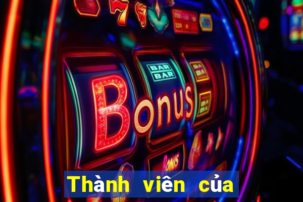 Thành viên của Bo 500