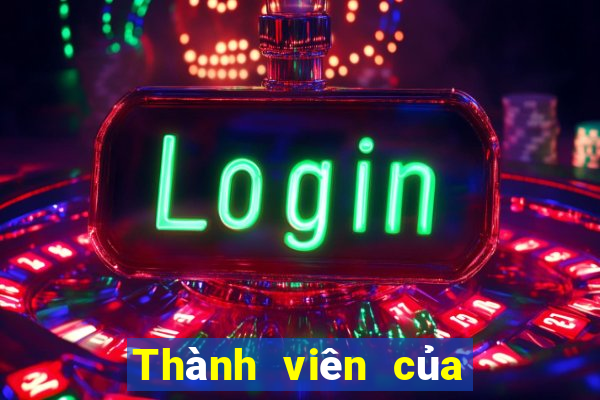 Thành viên của Bo 500