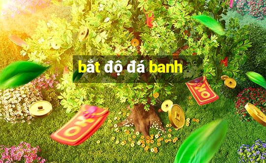 bắt độ đá banh