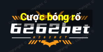 Cược bóng rổ