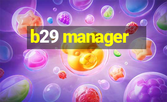 b29 manager