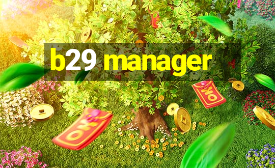 b29 manager