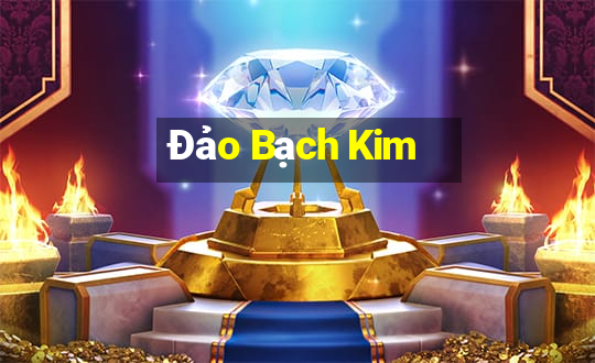 Đảo Bạch Kim