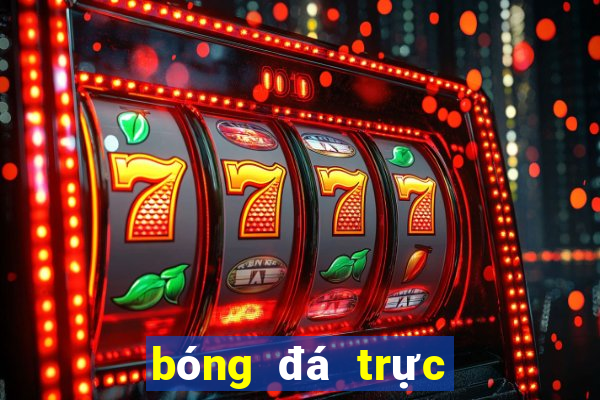 bóng đá trực tiếp mu hôm nay