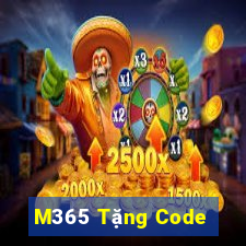 M365 Tặng Code