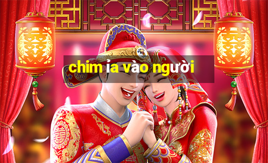 chim ỉa vào người