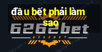 đầu bết phải làm sao