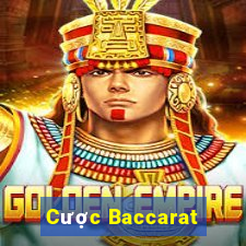 Cược Baccarat