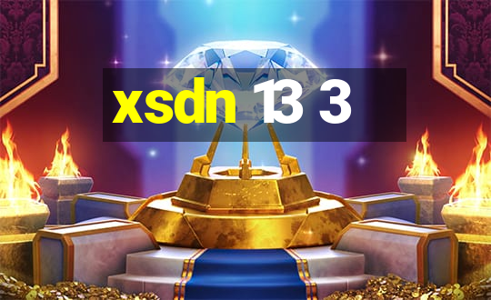 xsdn 13 3