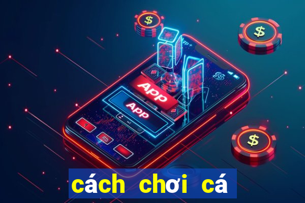 cách chơi cá độ bóng đá tài xỉu