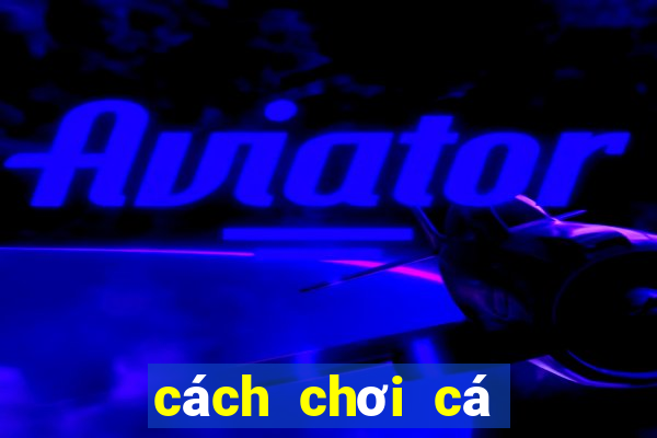 cách chơi cá độ bóng đá tài xỉu