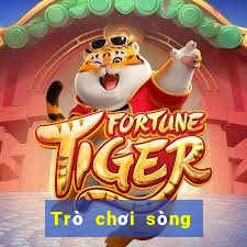 Trò chơi sòng bạc trực tuyến