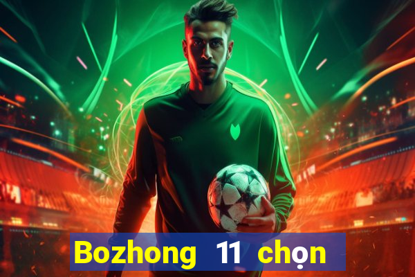 Bozhong 11 chọn năm phần mềm